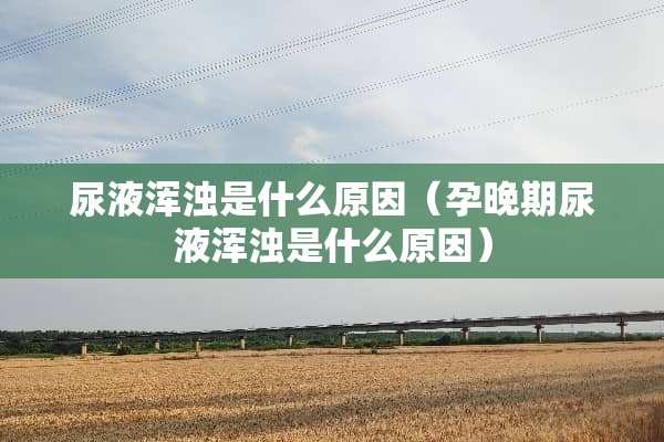 尿液浑浊是什么原因（孕晚期尿液浑浊是什么原因）