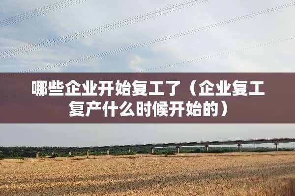 哪些企业开始复工了（企业复工复产什么时候开始的）