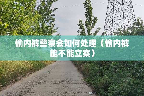 偷****会如何处理（偷**能不能立案）