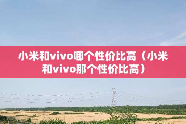 小米和vivo哪个性价比高（小米和vivo那个性价比高）
