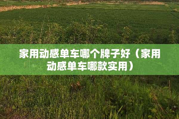 家用动感单车哪个牌子好（家用动感单车哪款实用）