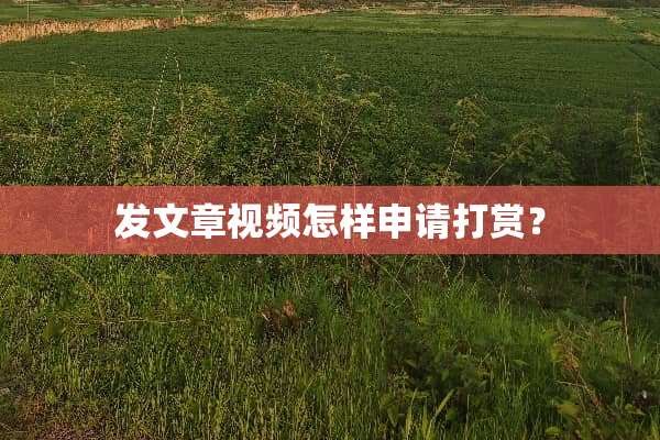 发文章视频怎样申请打赏？