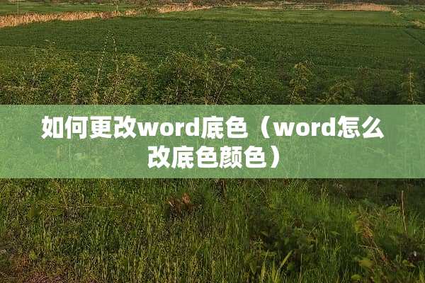 如何更改word底色（word怎么改底色颜色）