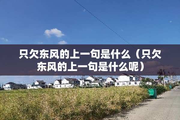 只欠东风的上一句是什么（只欠东风的上一句是什么呢）
