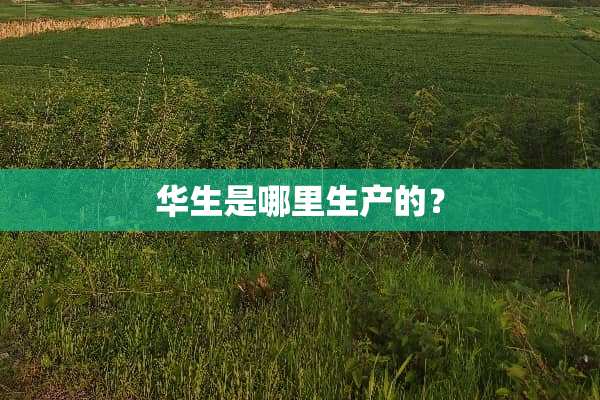 华生是哪里生产的？