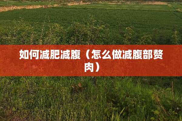 如何减肥减腹（怎么做减腹部赘肉）