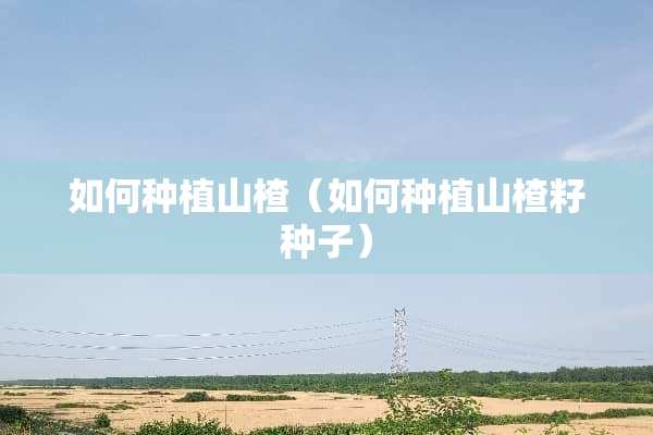 如何种植山楂（如何种植山楂籽种子）