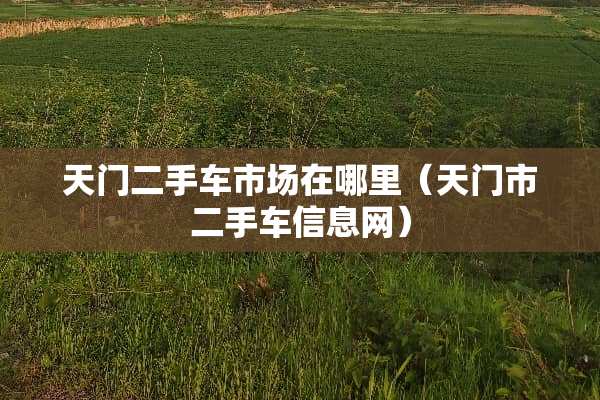 天门二手车市场在哪里（天门市二手车信息网）