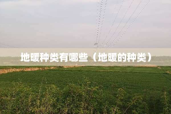 地暖种类有哪些（地暖的种类）