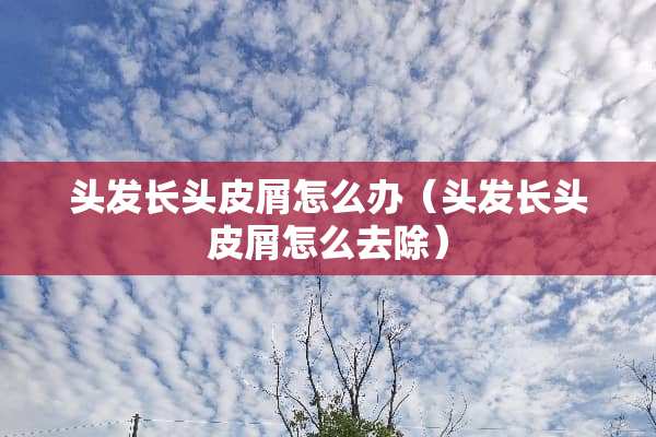 头发长头皮屑怎么办（头发长头皮屑怎么去除）