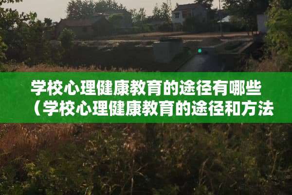 学校心理健康教育的途径有哪些（学校心理健康教育的途径和方法）