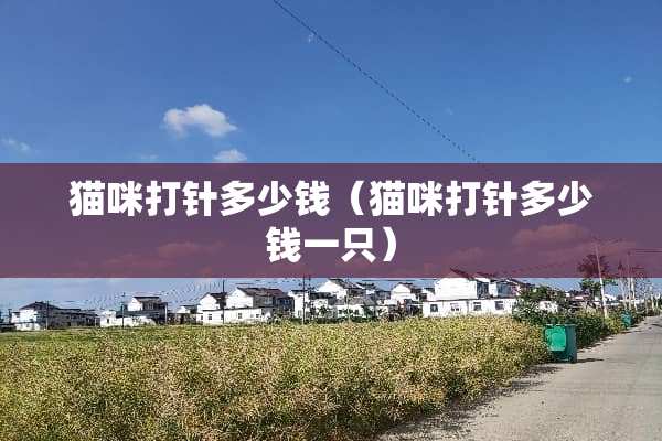 猫咪打针多少钱（猫咪打针多少钱一只）