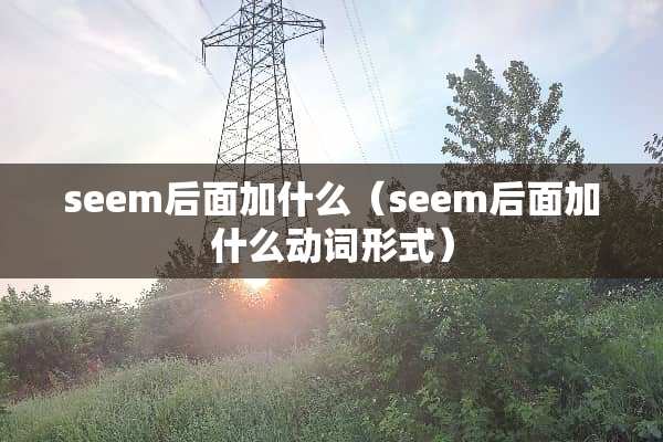 seem后面加什么（seem后面加什么动词形式）