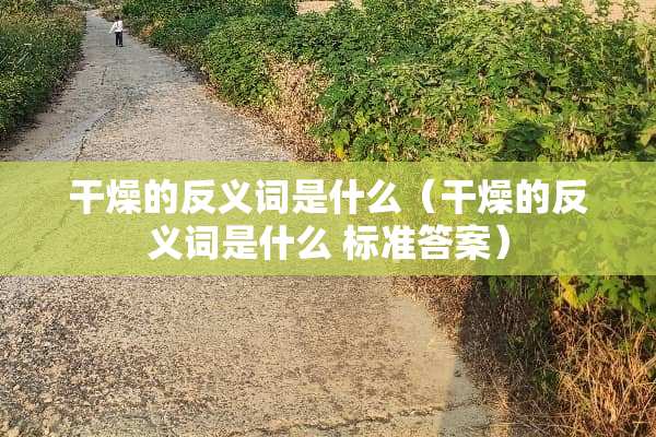 干燥的反义词是什么（干燥的反义词是什么 标准答案）