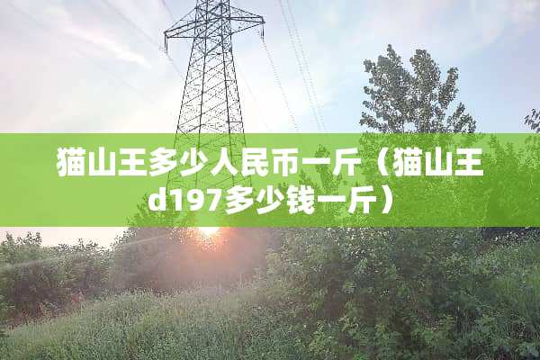 猫山王多少人民币一斤（猫山王d197多少钱一斤）