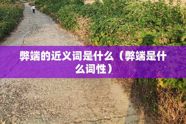 弊端的近义词是什么（弊端是什么词性）