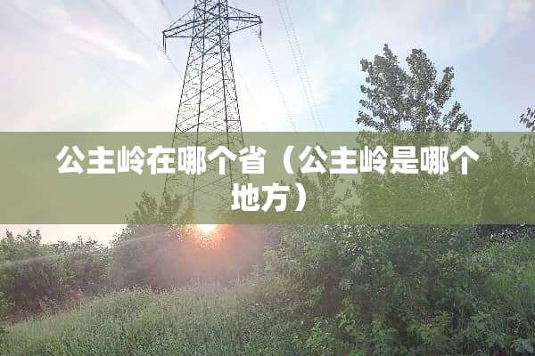 公主岭在哪个省（公主岭是哪个地方）