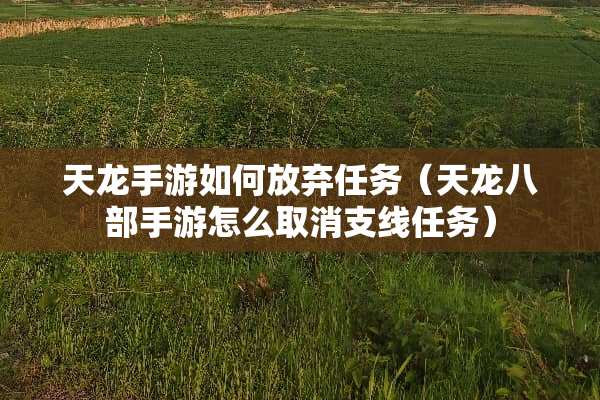 天龙手游如何放弃任务（天龙八部手游怎么取消支线任务）