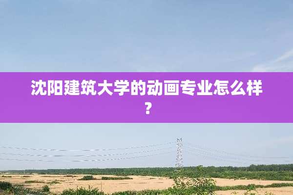 沈阳建筑大学的动画专业怎么样？