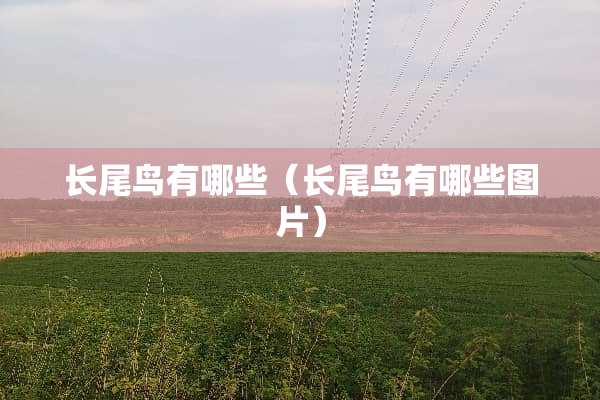 长尾鸟有哪些（长尾鸟有哪些图片）