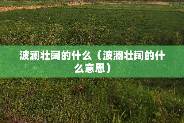 波澜壮阔的什么（波澜壮阔的什么意思）