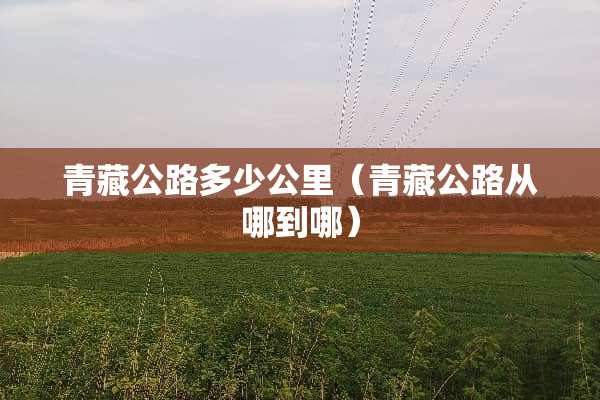 青藏公路多少公里（青藏公路从哪到哪）