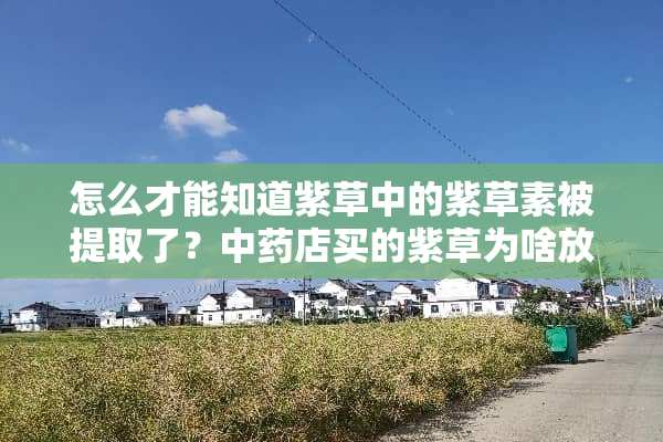 怎么才能知道紫草中的紫草素被提取了？中药店买的紫草为啥放入油中也不出色？