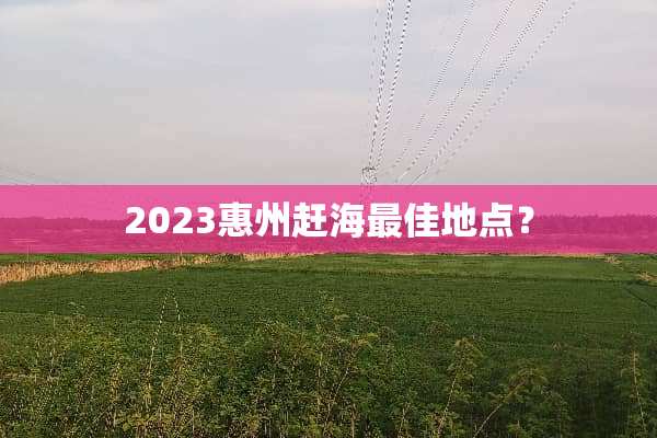 2023惠州赶海最佳地点？