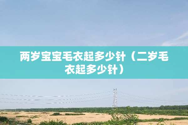 两岁宝宝毛衣起多少针（二岁毛衣起多少针）