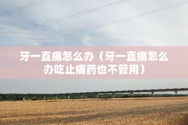 牙一直痛怎么办（牙一直痛怎么办吃止痛药也不管用）