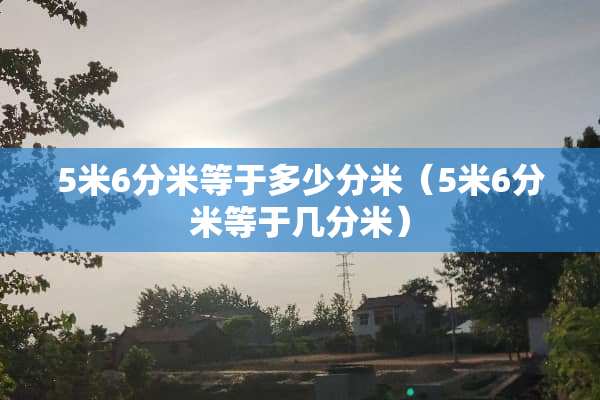 5米6分米等于多少分米（5米6分米等于几分米）