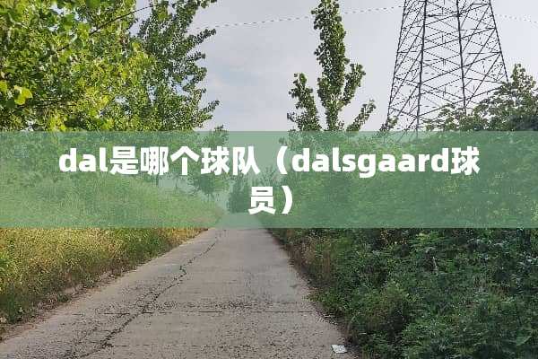 dal是哪个球队（dalsgaard球员）
