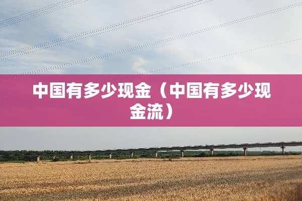 中国有多少现金（中国有多少现金流）