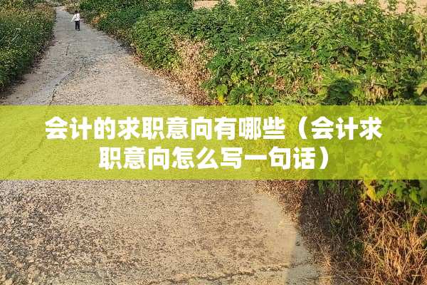 会计的求职意向有哪些（会计求职意向怎么写一句话）
