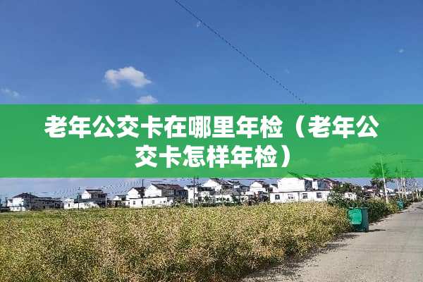 老年公交卡在哪里年检（老年公交卡怎样年检）