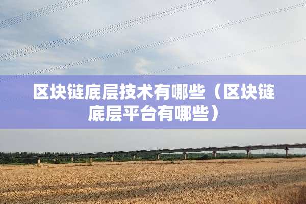 区块链底层技术有哪些（区块链底层平台有哪些）