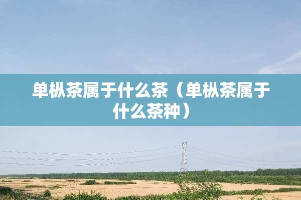 单枞茶属于什么茶（单枞茶属于什么茶种）