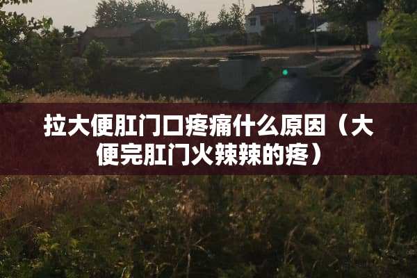 拉大便*门口疼痛什么原因（大便完*门火辣辣的疼）
