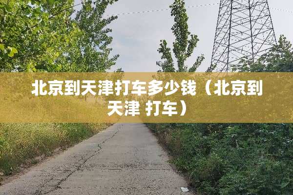 北京到天津打车多少钱（北京到天津 打车）