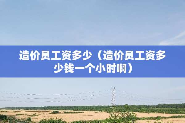 造价员工资多少（造价员工资多少钱一个小时啊）