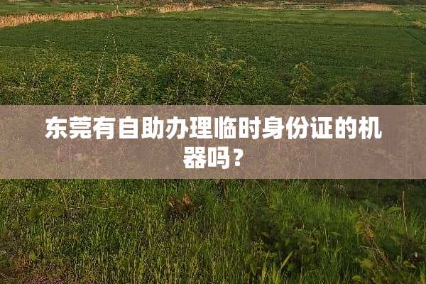 东莞有自助办理临时***的机器吗？