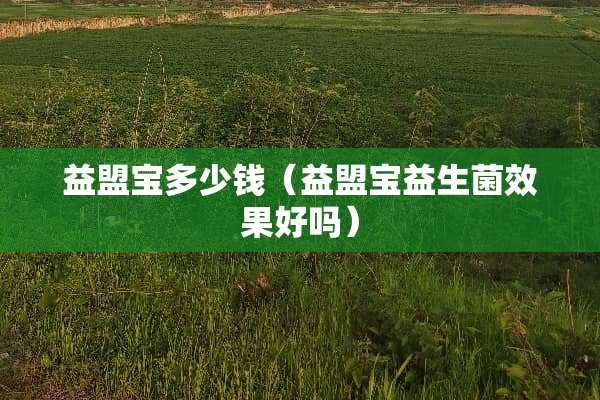 益盟宝多少钱（益盟宝益生菌效果好吗）