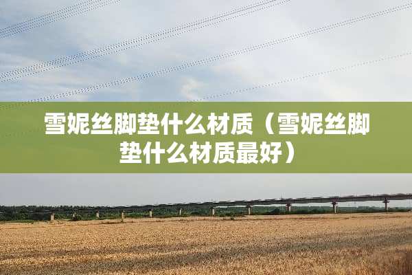雪妮丝脚垫什么材质（雪妮丝脚垫什么材质最好）