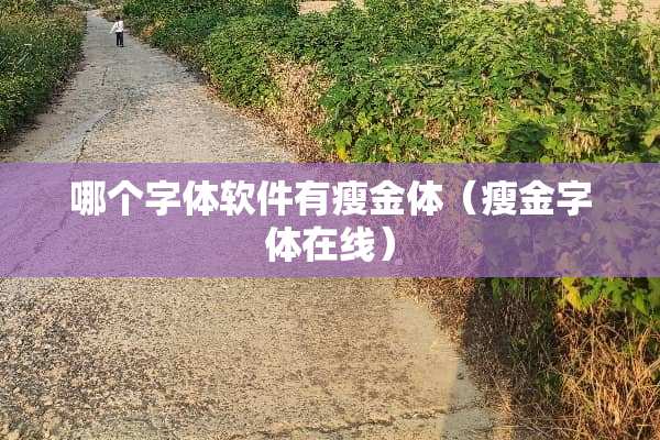 哪个字体软件有瘦金体（瘦金字体在线）