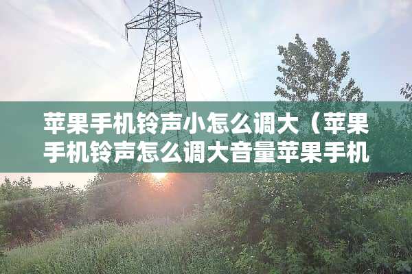 苹果手机铃声小怎么调大（苹果手机铃声怎么调大音量苹果手机怎么设密码）