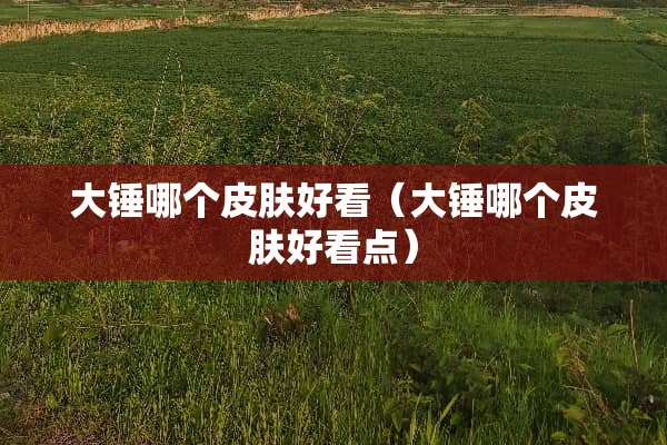 大锤哪个皮肤好看（大锤哪个皮肤好看点）