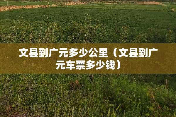 文县到广元多少公里（文县到广元车票多少钱）