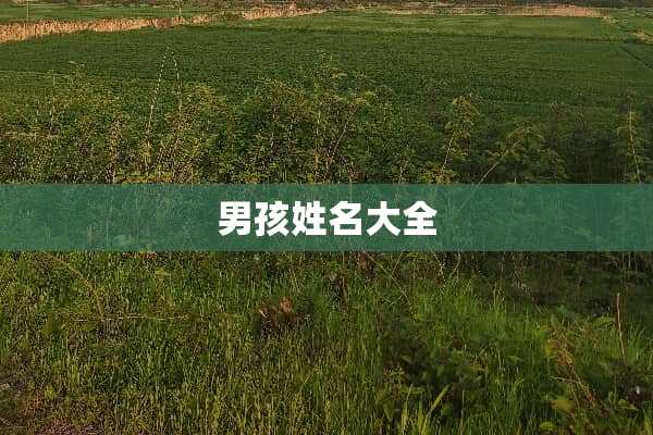 男孩姓名大全