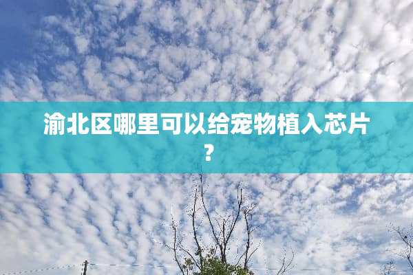 渝北区哪里可以给宠物植入芯片？
