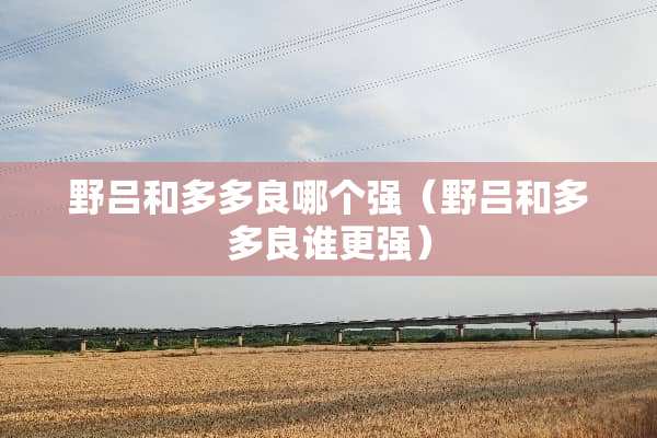 野吕和多多良哪个强（野吕和多多良谁更强）